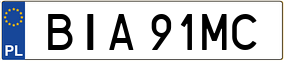 Trailer License Plate